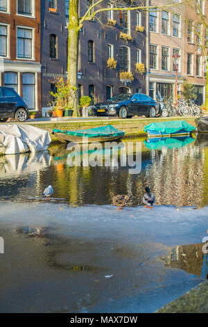 AMSTERDAM, PAESI BASSI, Marzo 10 2018: veduta esterna di alcune auto parcheggiata vicino ad un barche nei canali di Amsterdam, con le anatre sul ghiaccio, Amsterdam è la città più popolosa dei Paesi Bassi Foto Stock
