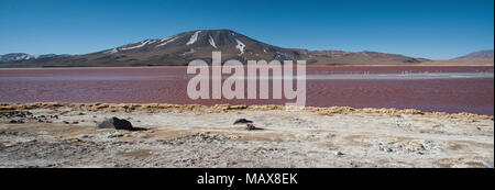 Il lago rosso, o Laguna Colorada, sull'Altiplano vicino a Uyuni all'interno di Eduardo Avaroa riserva nazionale in Bolivia a 4300 m sopra il livello del mare. Foto Stock