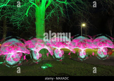 I funghi magici creato con un generatore di frattali e utilizzato nel mio Pixelstick Foto Stock