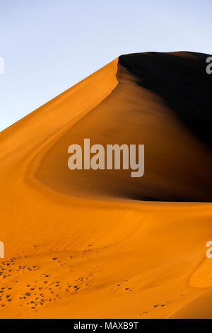 ID00686-00...IDAHO - dune di Bruneau Dunes State Park. Foto Stock