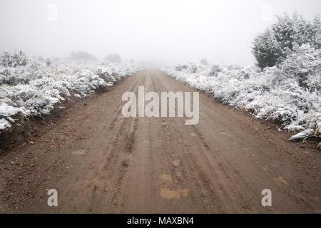 ID00768-00...IDAHO - fangosa strada sterrata con la neve ai lati nella città di roccia riserva nazionale. Foto Stock