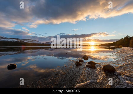 Loch Morlich al tramonto in inverno, Cairngorms National Park, Badenoch e Strathspey, Highland, Scotland, Regno Unito Foto Stock