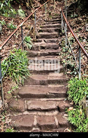 Una vista di Hawkstone Park di follie in Shropshire Foto Stock