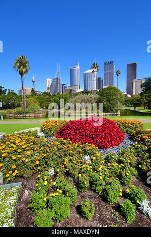 Sydney skyline della città e il CBD e i Royal Botanic Gardens, Sydney, Nuovo Galles del Sud, Australia Foto Stock