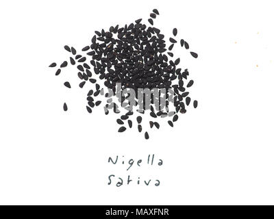 Di cumino nero (nigella sativa) aka nero semi di cumino su sfondo bianco Foto Stock