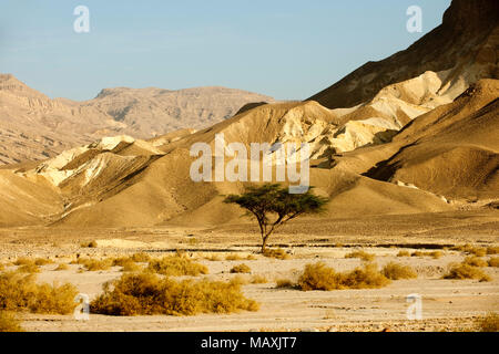 Aegypten ha, il Sinai Nordsinai, Landschaft im Wadi Sudr Foto Stock