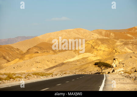 Aegypten ha, il Sinai Nordsinai, Landschaft im Wadi Feiran Foto Stock