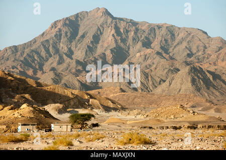 Aegypten ha, il Sinai Nordsinai, Landschaft im Wadi Feiran Foto Stock