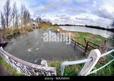 Inondati paludi e traboccante Waveney Fiume a ellingham norfolk confine SUFFOLK REGNO UNITO Foto Stock