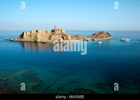 Aegypten ha, il Sinai Ostküste bei Taba, Kreuzritterburg auf der Insel sull'Isola di Corallo Foto Stock