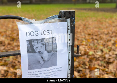 Lost Dog avviso attaccato al park di ringhiere, UK, Londra Foto Stock