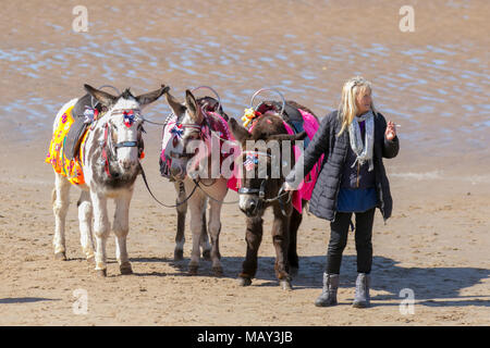 Blackpool Lancashire. 5 apr, 2018. Regno Unito: Meteo soleggiato per iniziare la giornata sulla costa di Fylde come vacanzieri godere egli caldo sole sul lungomare. Credito: MediaWorldImages/AlamyLiveNews Foto Stock