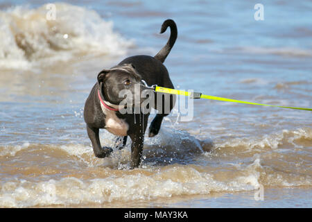 Blackpool Lancashire. 5 apr, 2018. Regno Unito: Meteo soleggiato per iniziare la giornata sulla costa di Fylde come vacanzieri godere egli caldo sole sul lungomare. Credito: MediaWorldImages/AlamyLiveNews Foto Stock