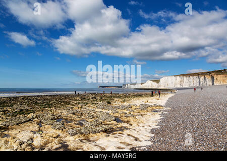Sette sorelle Chalk scogliere e spiaggia vicino Birling Gap sul Sussex costa su una luminosa e soleggiata mattina di aprile con la gente sulla Foreshore Foto Stock