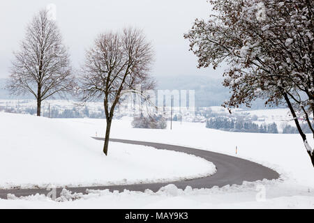 Una curva strada in mezzo alla neve, con alberi a lato Foto Stock