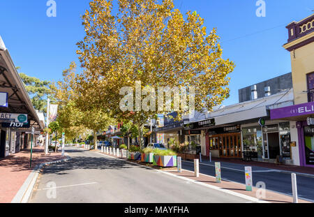 Albero piano ombreggiato negozi e cafe strip di Rokeby Road, Subiaco, Perth, Western Australia Foto Stock