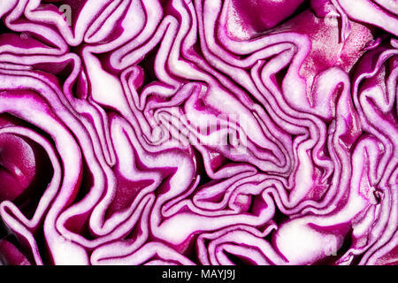 Cavolo rosso tagliato a metà. Viola brassica affettato in due mostrando pattern all'interno. Foto Stock