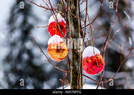 La fusione della neve rossa di copertura decorazioni natalizie che sono appesi sui rami di alberi in inverno Foto Stock