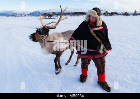 L uomo nel tradizionale abito Sami, con una renna, Villmarkssenter, nei pressi di Tromso, Norvegia Foto Stock