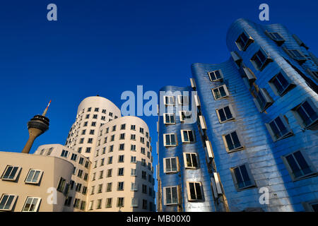 Torre sul Reno con edifici di Gehry, Neuer Zollhof, Media Harbour, Düsseldorf, Renania settentrionale-Vestfalia, Germania Foto Stock