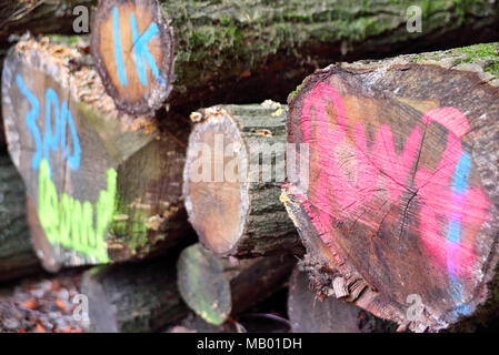 Tronchi di albero o palo di legno ho una foresta. Industria del legname in scena con impilati pezzi di legno. Foto Stock