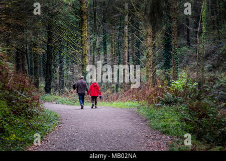 Un giovane a piedi lungo una via che corre attraverso boschi di Cardinham in Bodmin in Cornovaglia. Foto Stock