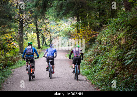 Gli amanti della mountain bike a cavallo lungo una via in boschi Cardinham in Cornovaglia. Foto Stock