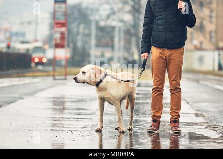 Fosche previsioni in città. L'uomo con il suo cane (labrador retriever) camminando sotto la pioggia sulla strada. Praga, Repubblica Ceca. Foto Stock