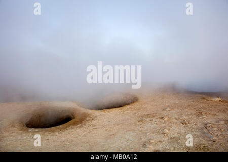 Geyser Sol de Manana a Eduardo Avaroa fauna Andina riserva nazionale in Bolivia Foto Stock