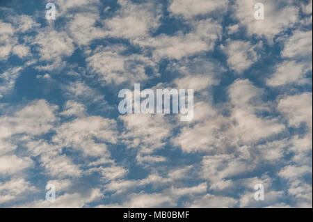 Profondo cielo blu e riempito con le patch di nuvola bianca Foto Stock