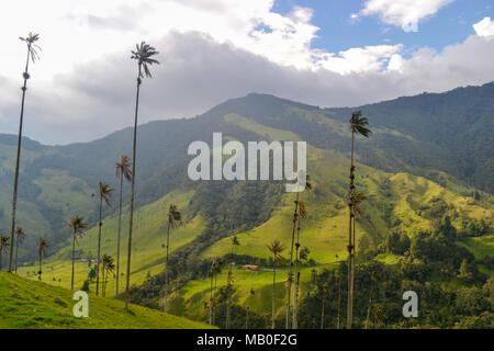 Le foto scattate in Valle de Cocora, Salento, Colombia Foto Stock
