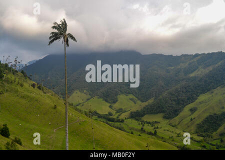 Le foto scattate in Valle de Cocora, Salento, Colombia Foto Stock