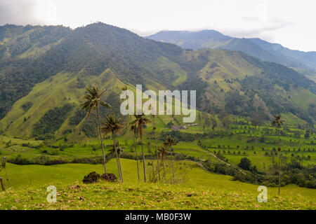 Le foto scattate in Valle de Cocora, Salento, Colombia Foto Stock