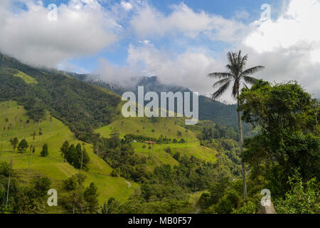 Le foto scattate in Valle de Cocora, Salento, Colombia Foto Stock