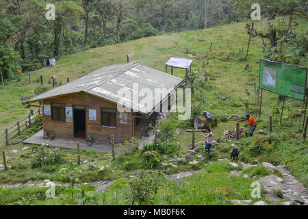 Le foto scattate in Valle de Cocora, Salento, Colombia Foto Stock