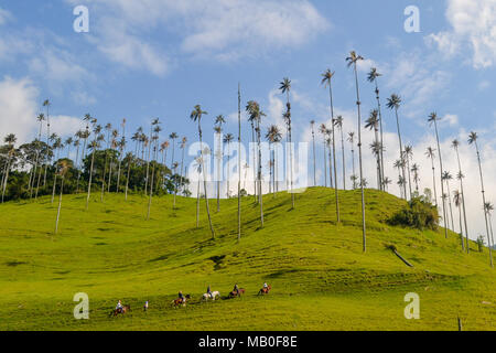 Le foto scattate in Valle de Cocora, Salento, Colombia Foto Stock