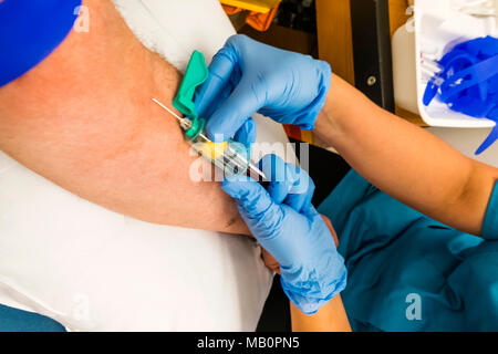 Inghilterra, Londra, sangue di prova Foto Stock