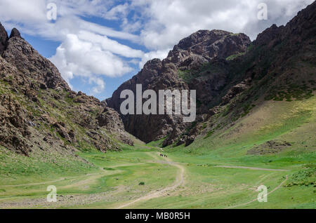 Yolym Valley, deserto dei Gobi e Mongolia Foto Stock