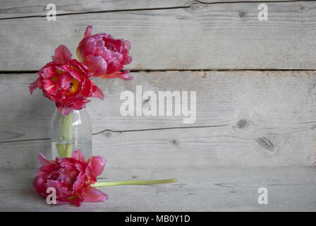 Rosa peonia olandese tulipani in una bottiglia di vetro, sul vecchio sfondo di legno con petali Foto Stock