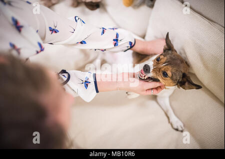 Confuso cane che non gli piace essere toccato :) Foto Stock