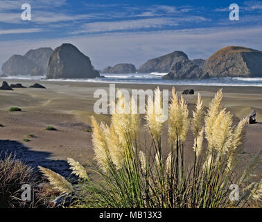 Pampa erba sboccia lungo dell'Oregon costa meridionale con il magnifico mare offshore pile a Capo Sebastian parco dello stato. Foto Stock