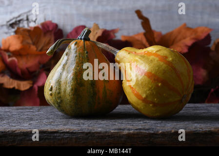 Autunno ancora in vita con due zucche e foglie di autunno. Foto Stock