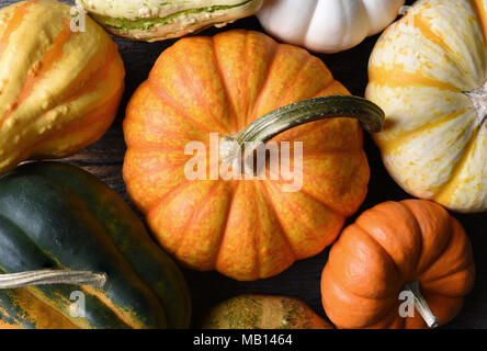 Il sovraccarico orizzontale closeup colpo di un gruppo di zucche decorative, squash e zucche. Foto Stock