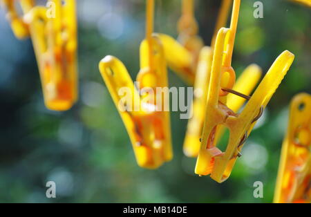 In plastica gialla peg vestiti appesi su giardino Foto Stock