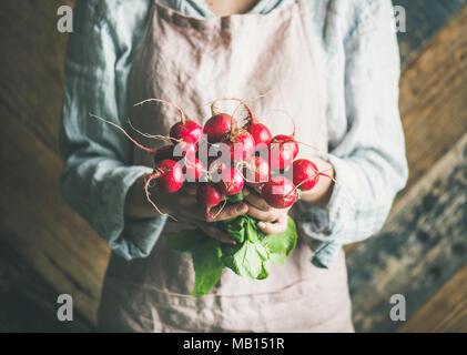 L'agricoltore femmina indossare biancheria pastello grembiule e shirt holding mazzetto di fresche e mature con rafano lascia nelle sue mani, rustico in legno parete fienile in background. Foto Stock