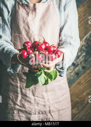 L'agricoltore femmina indossare biancheria pastello grembiule e shirt holding mazzetto di fresche e mature con rafano lascia nelle sue mani, il fuoco selettivo. Prodotti biologici o lo Foto Stock