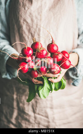 L'agricoltore femmina indossare biancheria pastello grembiule e shirt holding mazzetto di freschi maturi il ravanello nelle sue mani, il fuoco selettivo. Prodotti biologici o mercato locale c Foto Stock