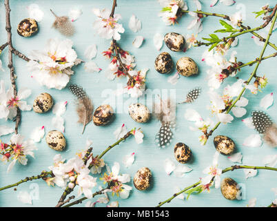 Vacanze di Pasqua sfondo, la texture e la carta da parati. Flat-lay di gara di mandorle primavera sbocciano i fiori fiori su rami, piume e uova di quaglia sulla luce blu Foto Stock