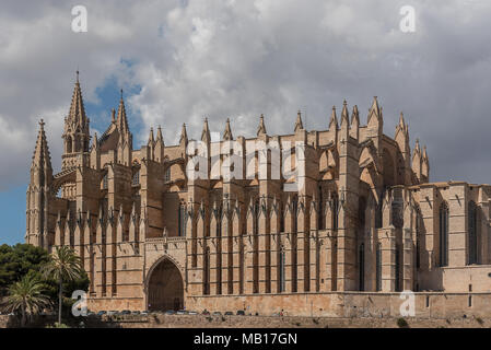 La Seu - die gotische Kathedrale a Palma de Mallorca in der Totalen Foto Stock