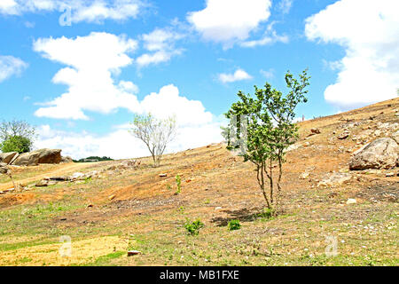 Parque Estadual da Pedra da Boca, Araruna, Paraiba, Brasile Foto Stock